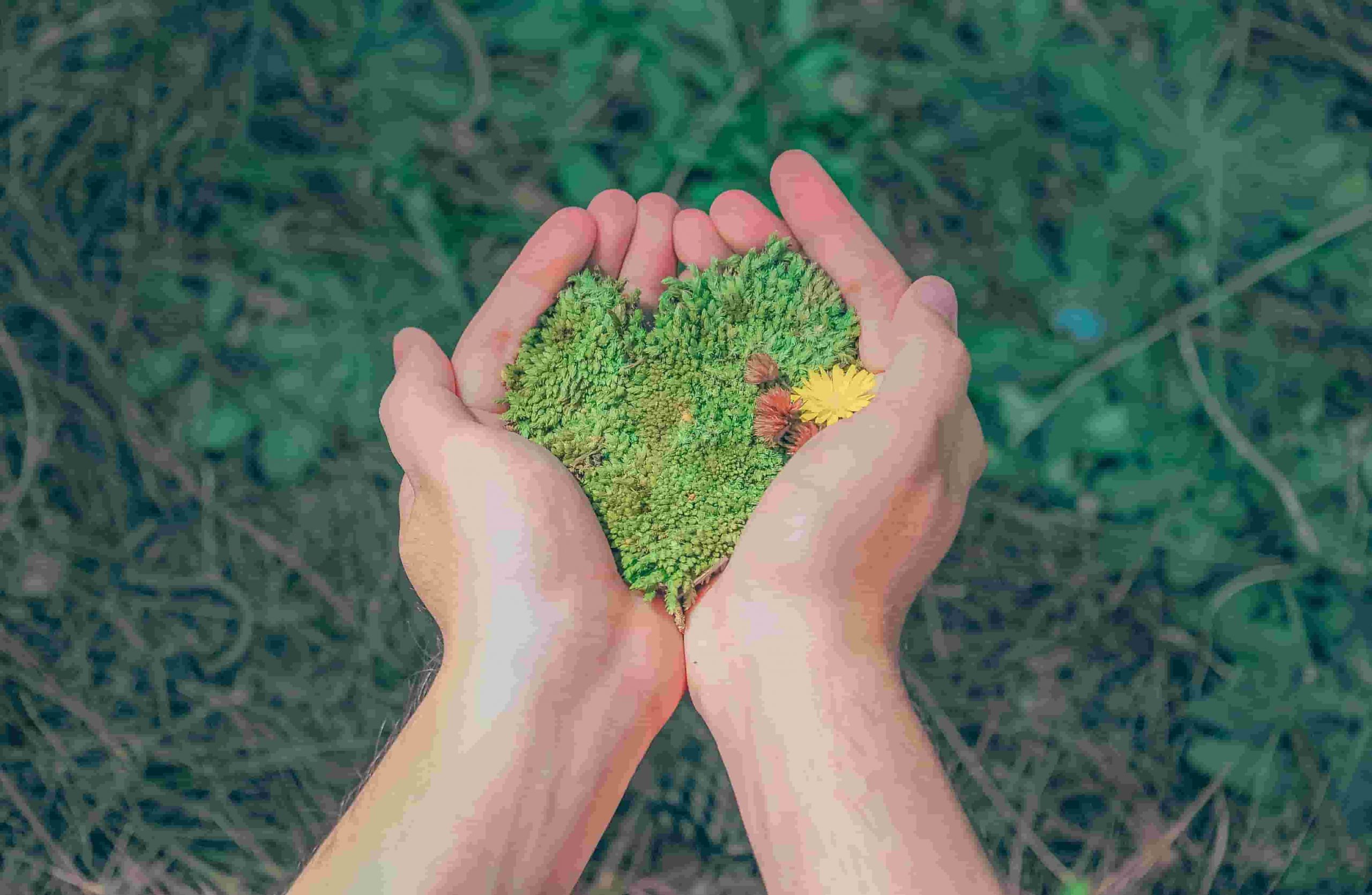 Economia Ambiental