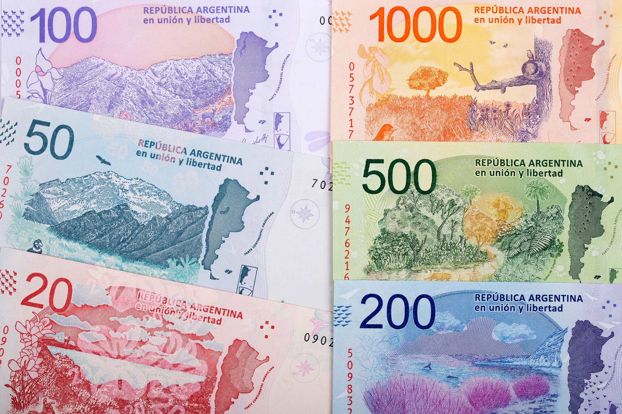 Novo Peso Argentino Ou Peso Argentino ARS 