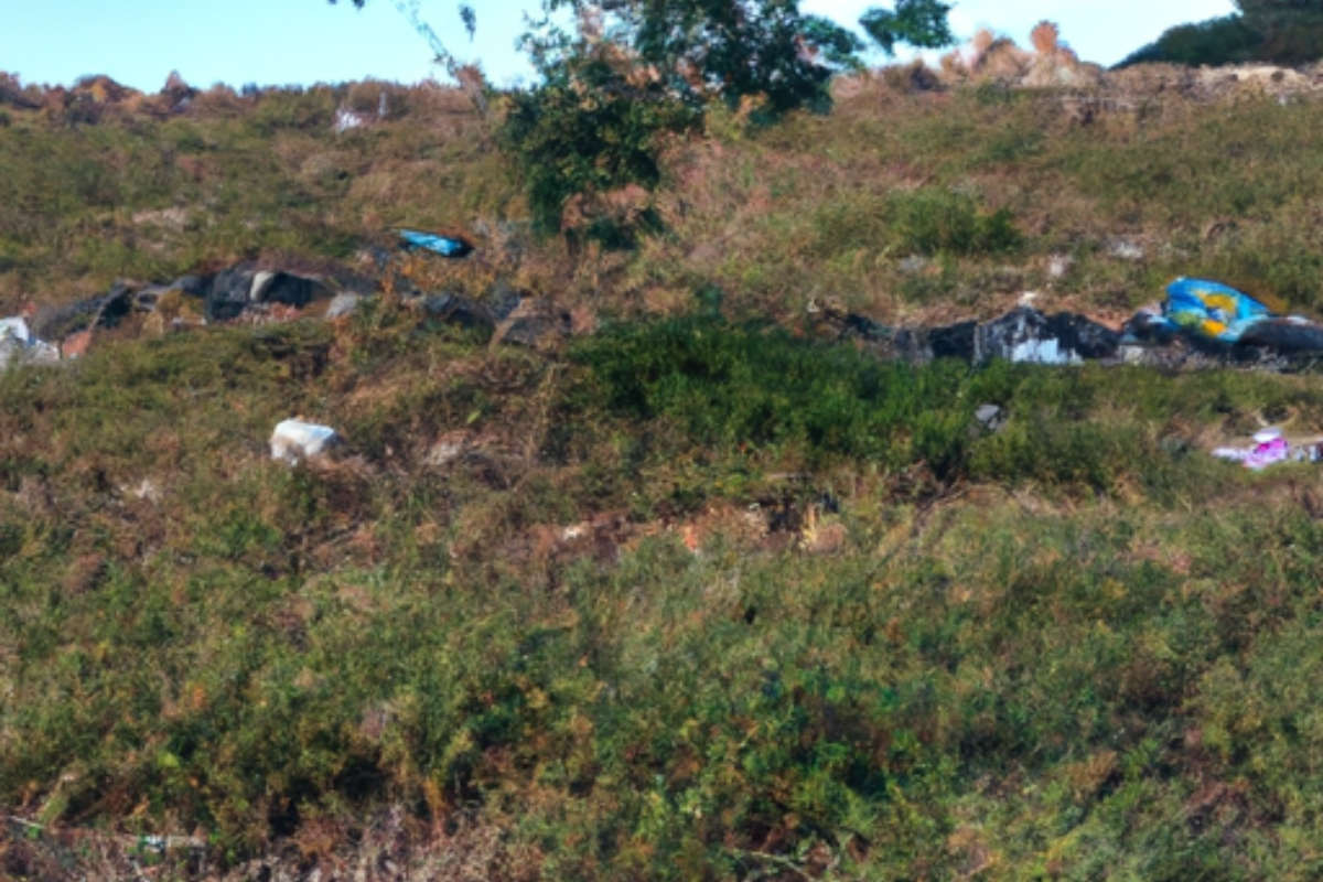 Gestão ambiental: entenda como impactar positivamente o meio ambiente