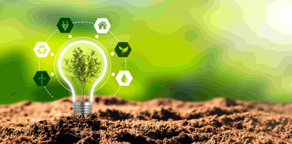 Crescimento Sustentável